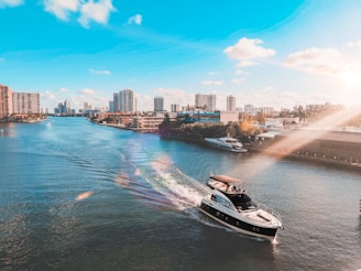white and black boat on water near city buildings during daytime