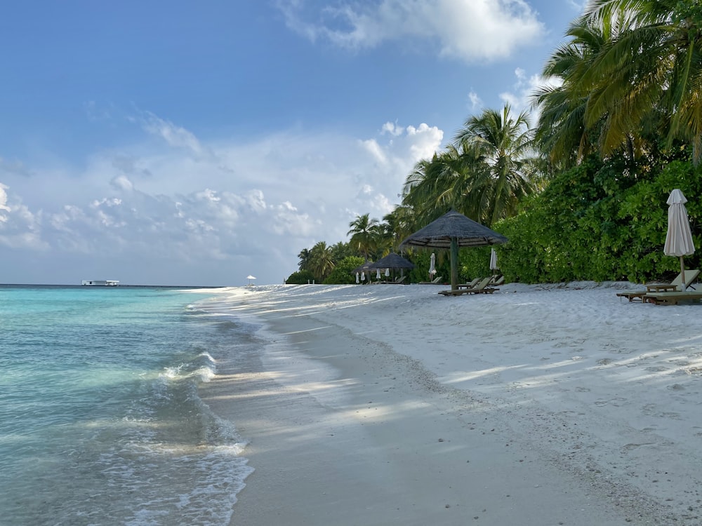 maison de plage en bois marron sur la plage pendant la journée