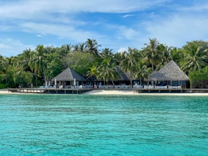 A picturesque tropical beach scene featuring two thatched-roof huts surrounded by lush palm trees. The huts are situated directly on the sandy shoreline, with a deck area that looks over the turquoise waters, giving off a serene and inviting atmosphere.