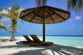 brown wooden lounge chairs on beach during daytime