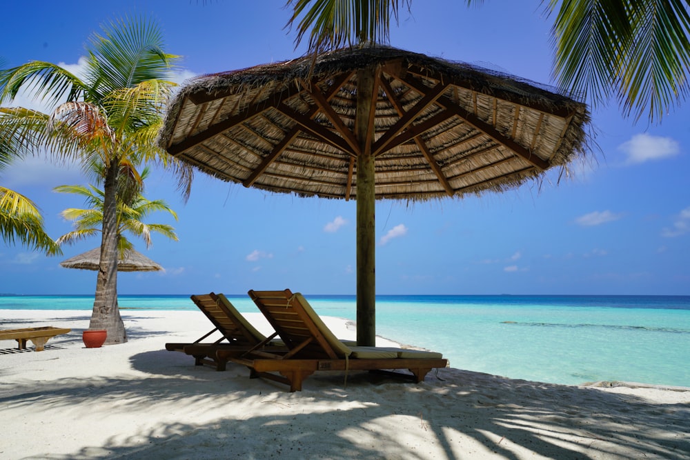 brown wooden lounge chairs on beach during daytime