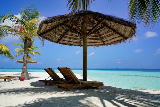 brown wooden lounge chairs on beach during daytime in Alif Alif Atoll Maldives