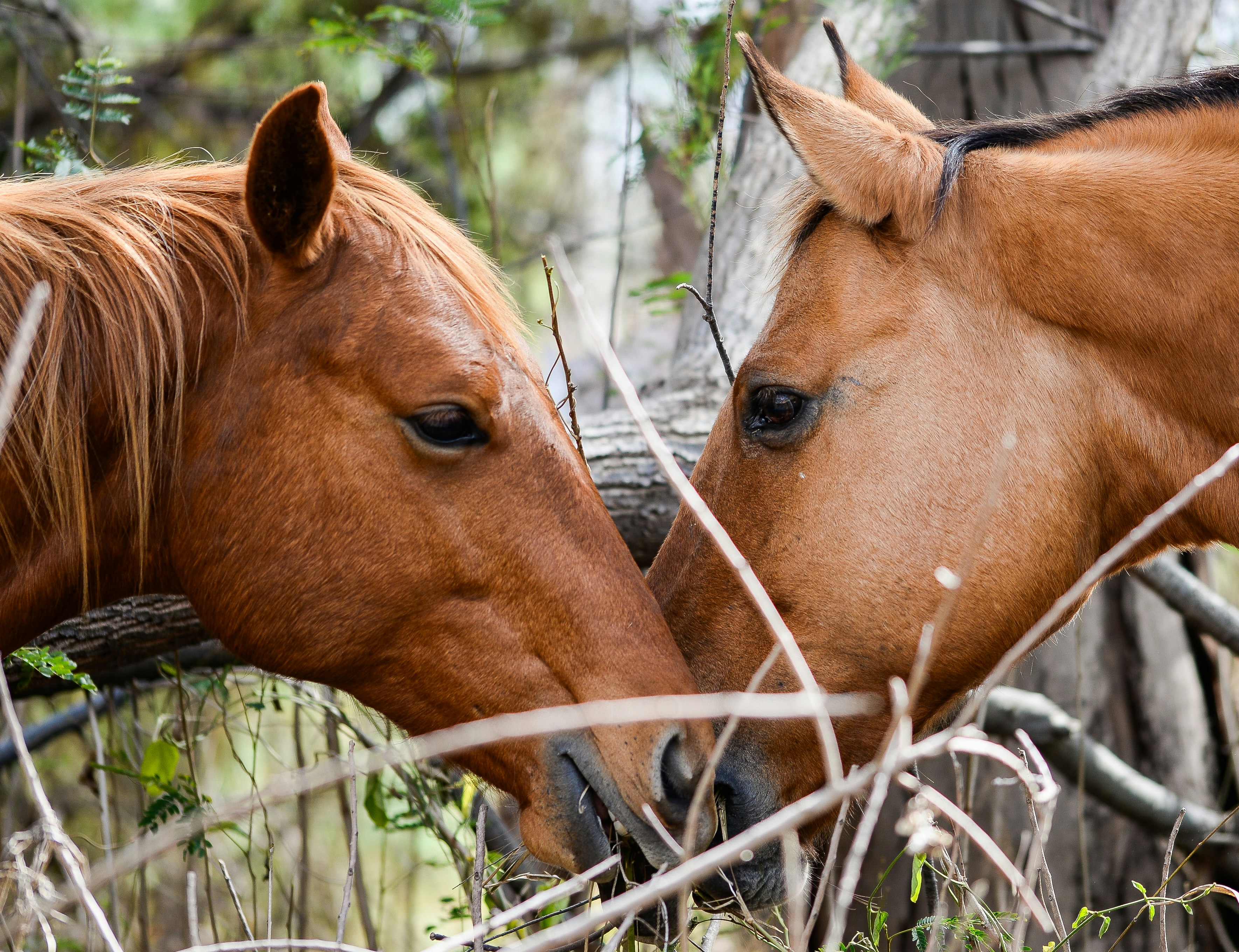 Ispovijest o gubitku: Poruka na telefonu preminule supruge me je slomila