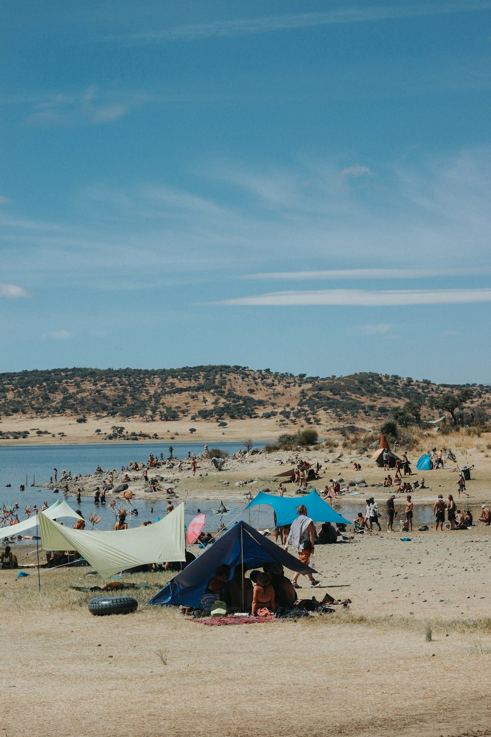 people on beach during daytime