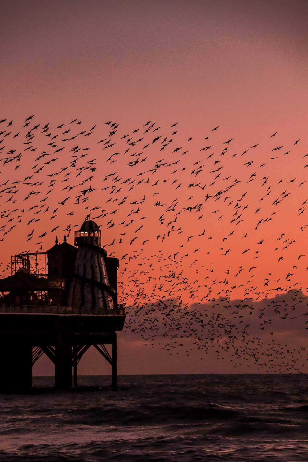 silhouette of people on beach during sunset