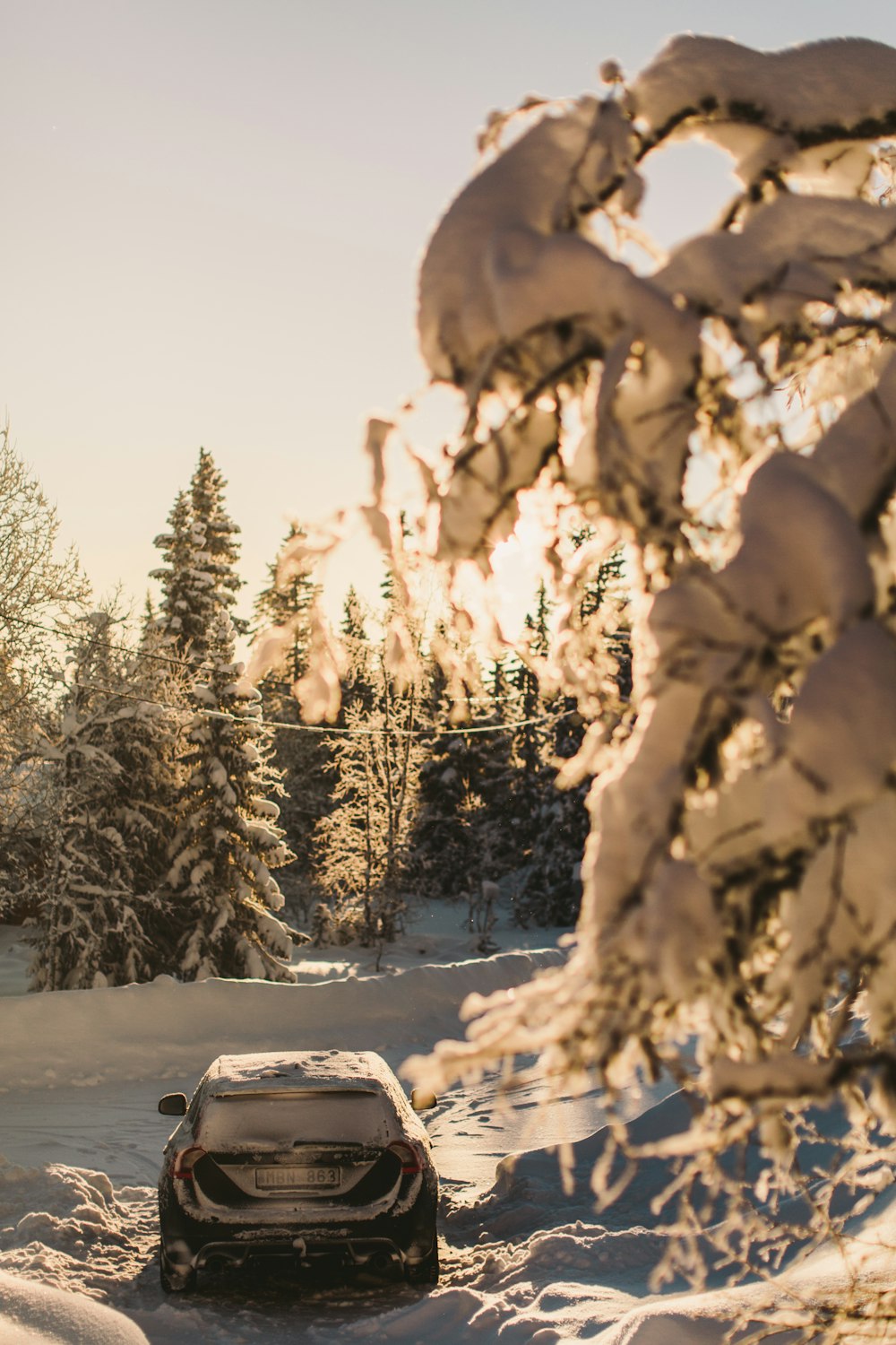 snow covered car parked near trees during daytime