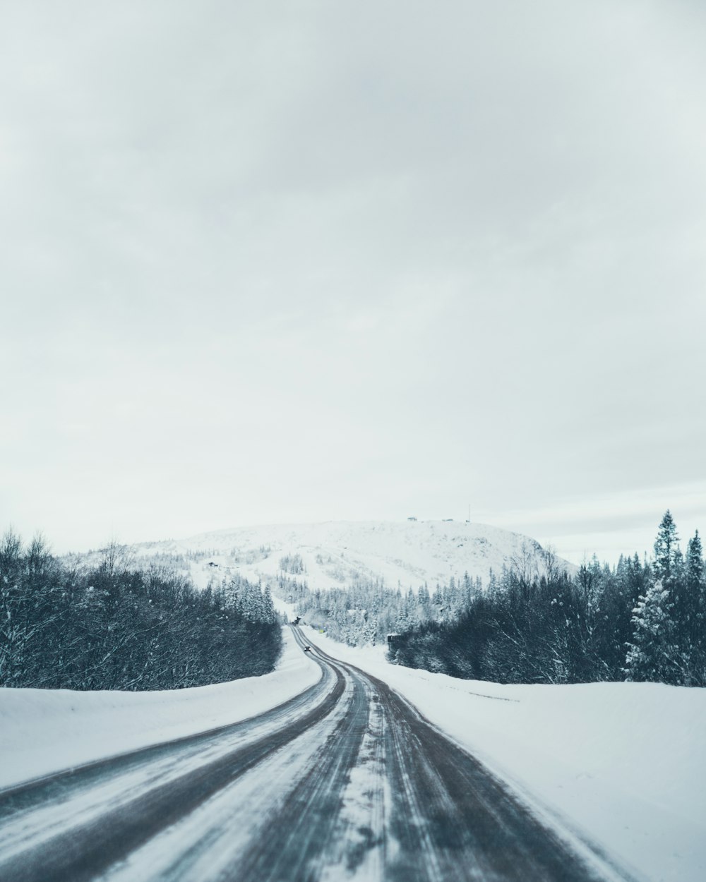 snow covered road during daytime