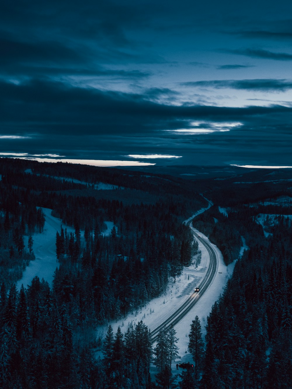 green pine trees on snow covered ground under cloudy sky during daytime