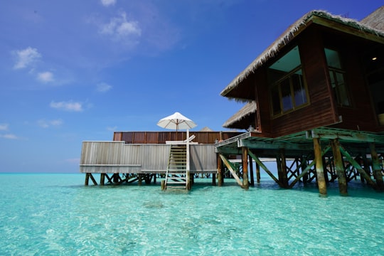 brown wooden house on body of water during daytime in Alif Alif Atoll Maldives