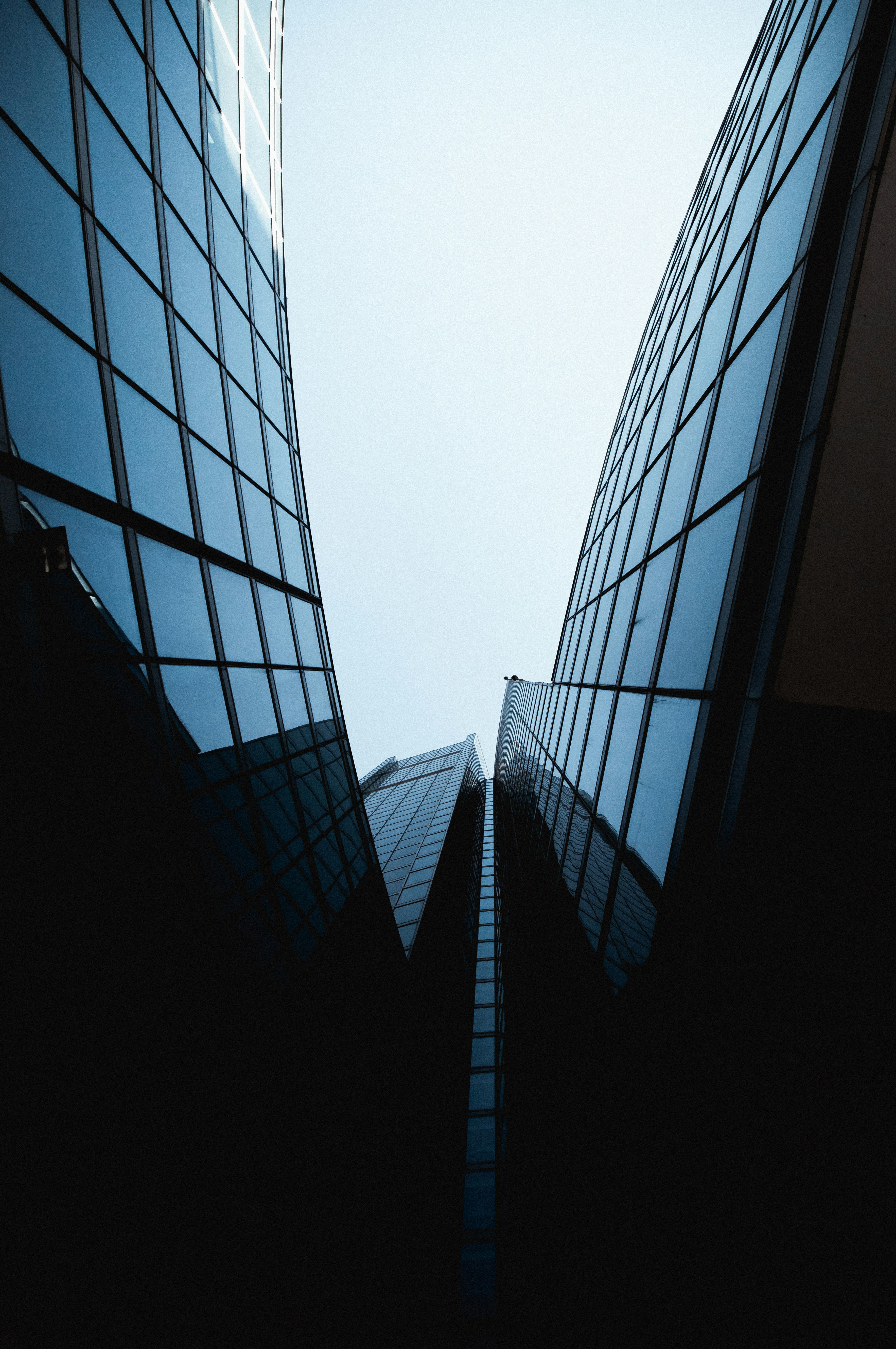 Photo by ludovicadri