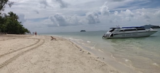 A serene beach setting with a clear view of the ocean and sky. A speedboat labeled 'Sea Angel Speed' rests in shallow waters close to shore. The sandy beach has tire tracks and scattered vegetation. A few people can be seen walking along the shoreline, and there are lush green trees on the left.