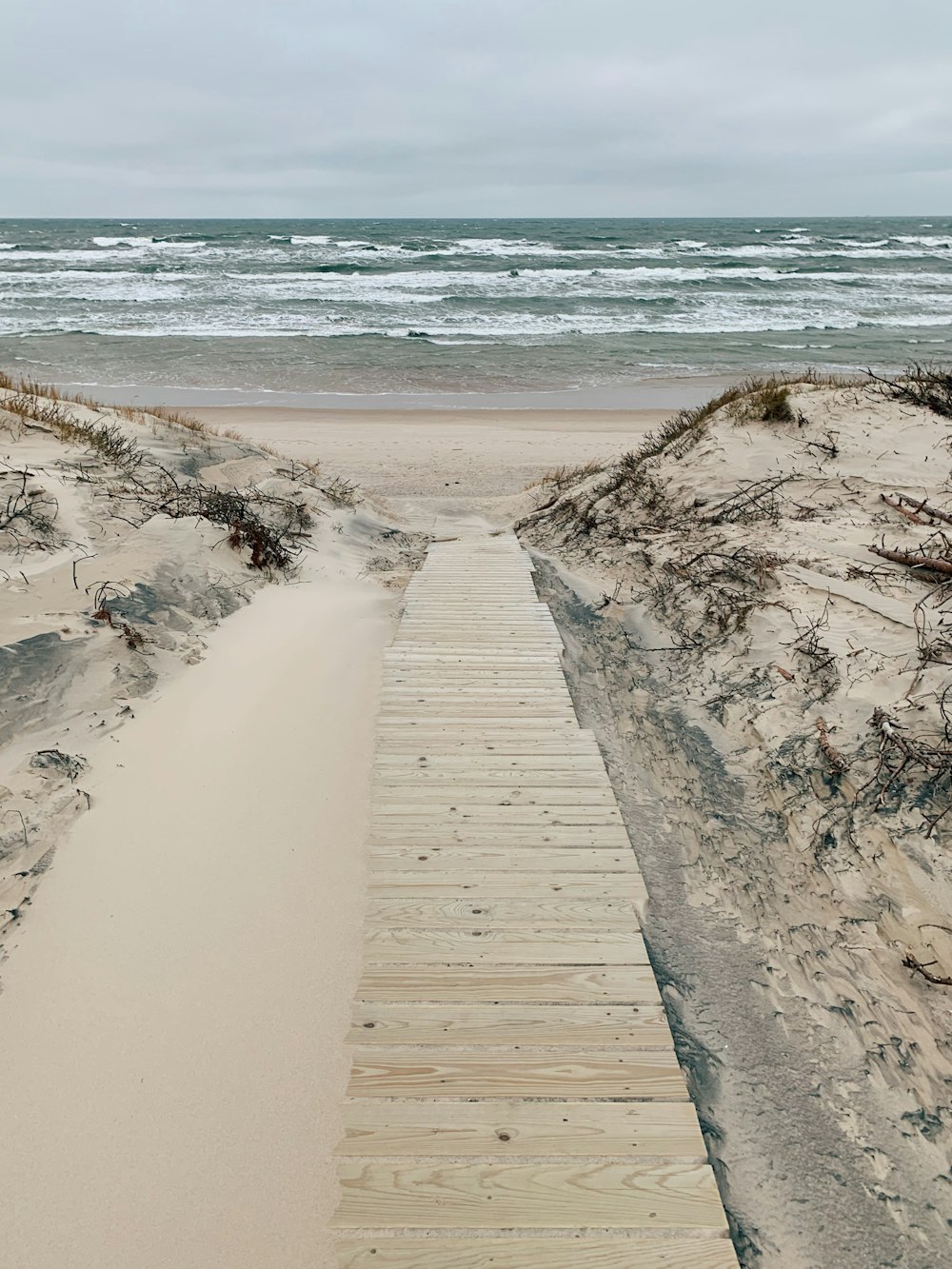 brown wooden dock on white sand beach during daytime