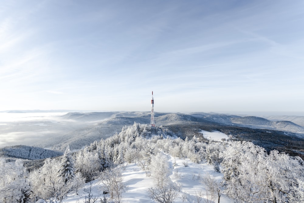 snow covered trees and mountains during daytime