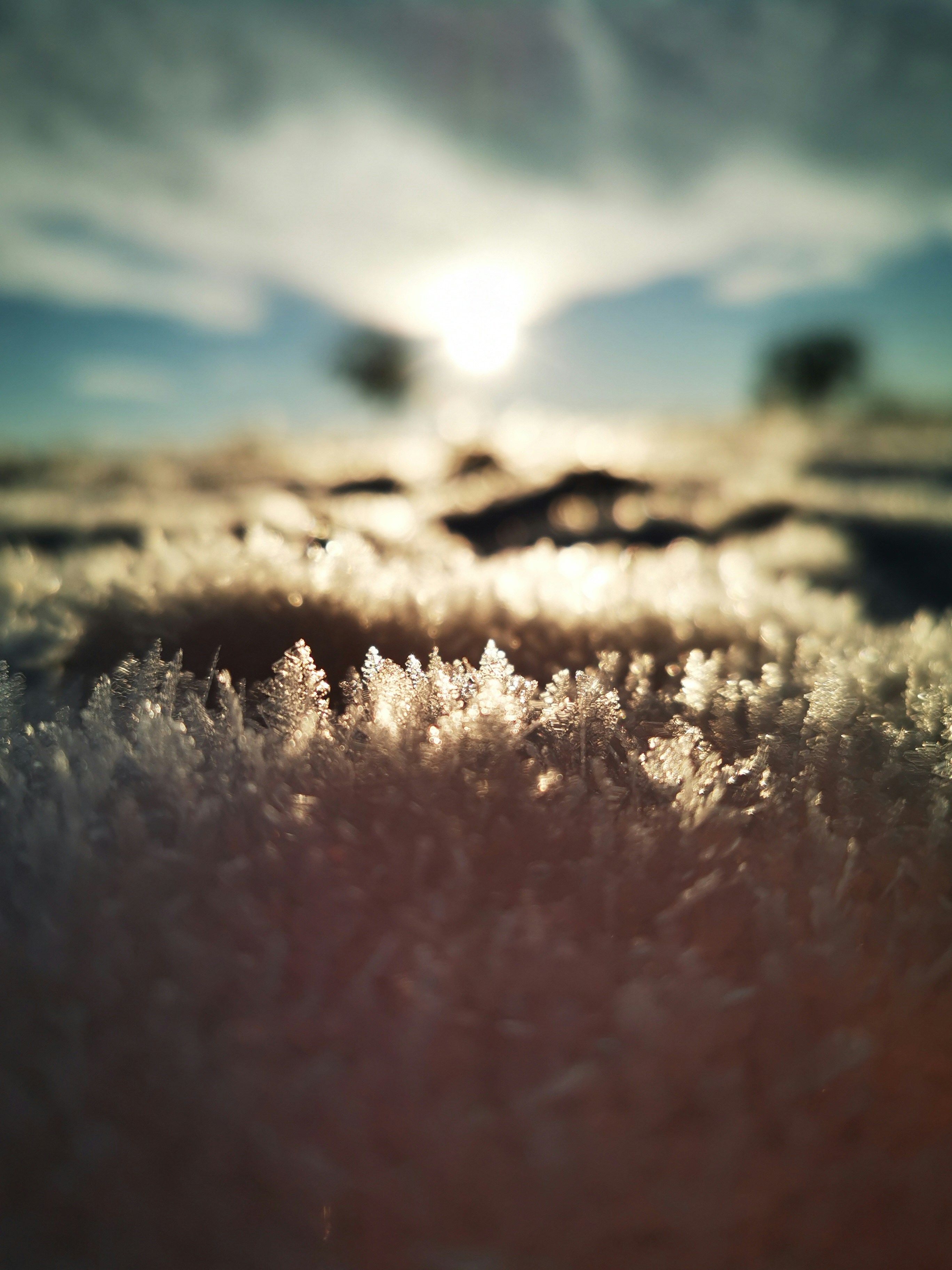 Photo by slemle