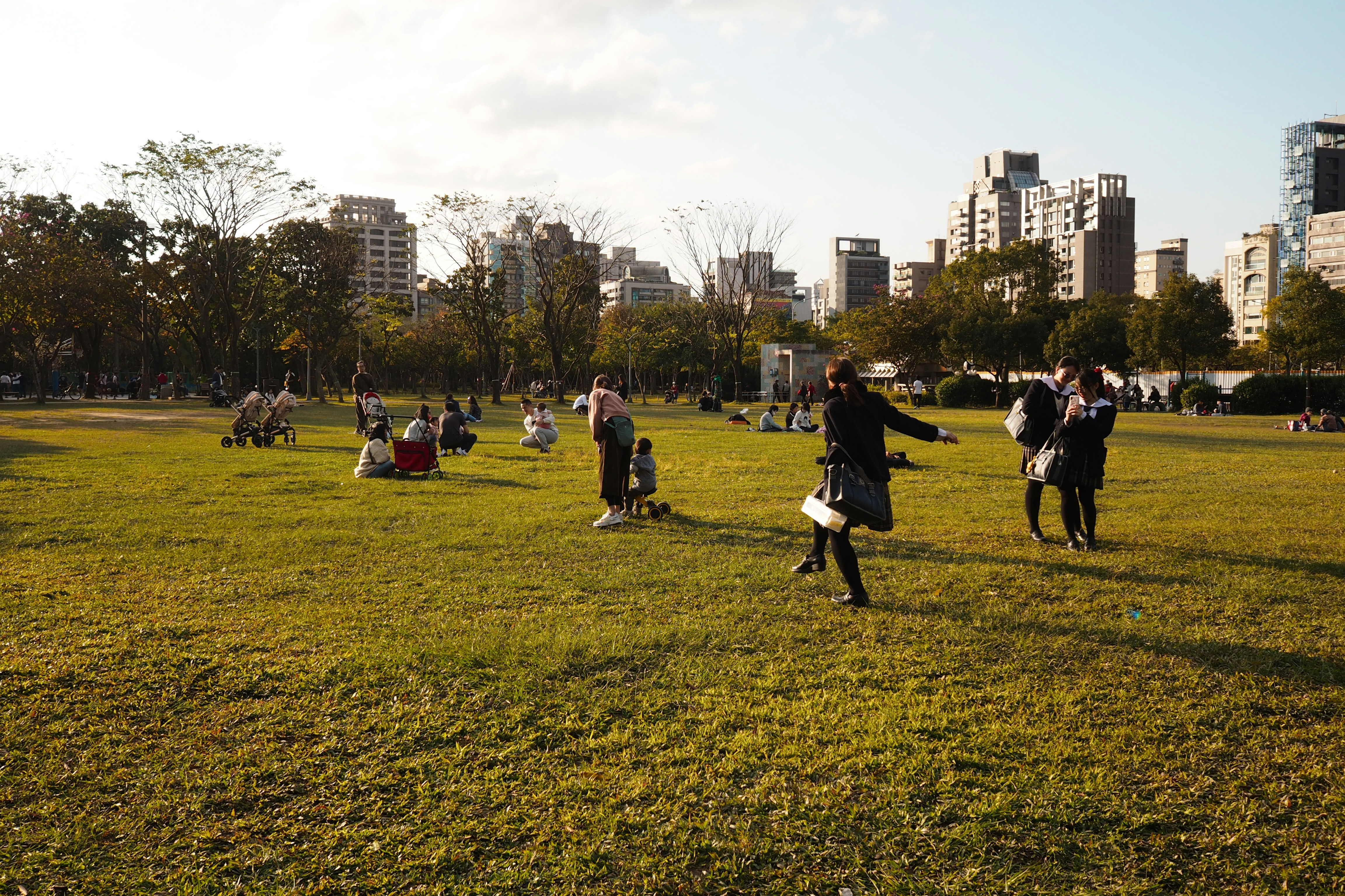 Photo by mclee