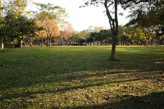 People enjoying an outdoor group activity surrounded by greenery and sunshine.