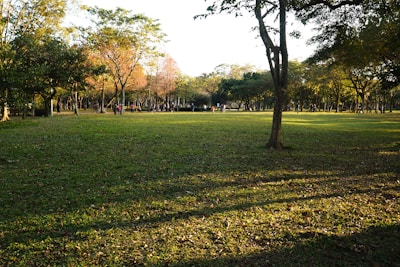 People enjoying an outdoor group activity surrounded by greenery and sunshine.