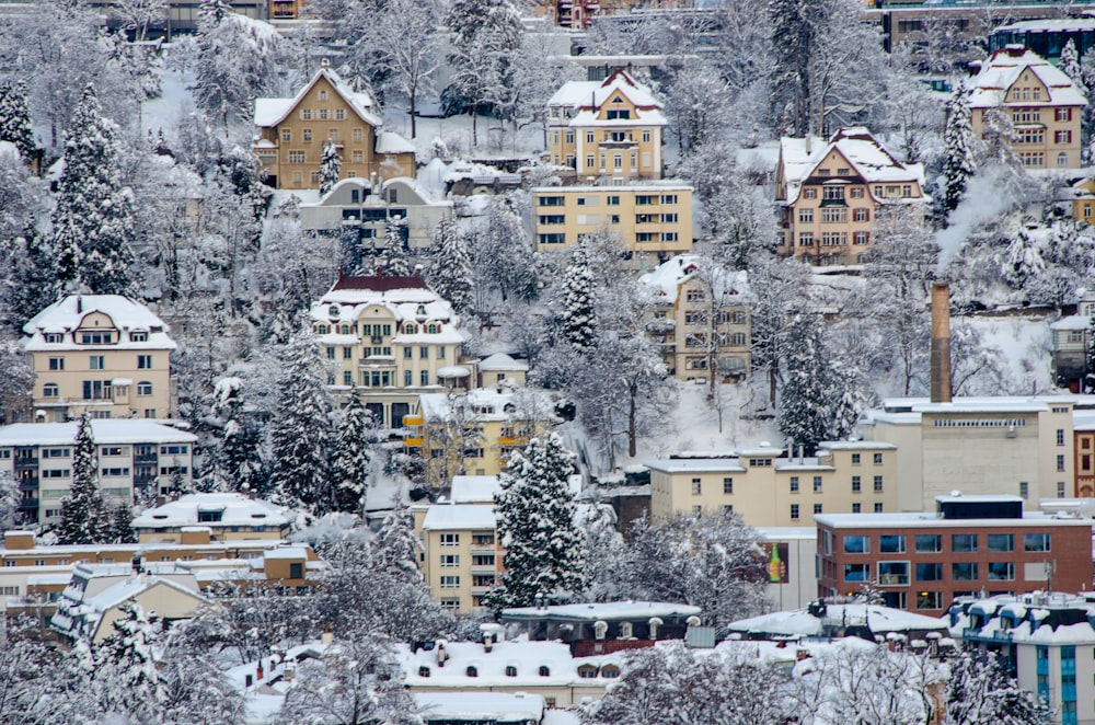 brown and white concrete buildings during daytime