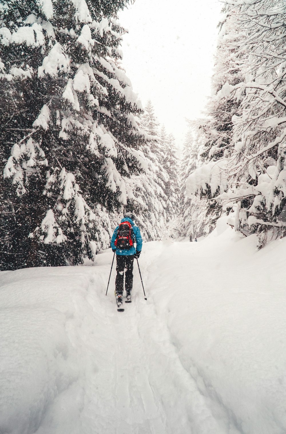 Person in roter Jacke und schwarzer Hose, die tagsüber auf schneebedecktem Boden in der Nähe von Bäumen geht