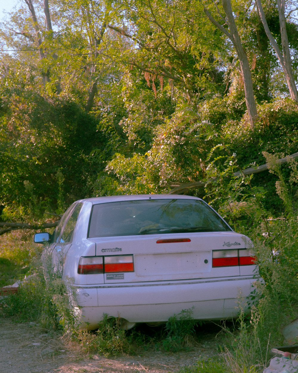 white chevrolet car parked near green trees during daytime