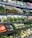 Various fresh vegetables packaged in plastic wrap and arranged neatly on supermarket shelves, including carrots, eggplants, cucumbers, and leafy greens.