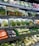 Various fresh vegetables packaged in plastic wrap and arranged neatly on supermarket shelves, including carrots, eggplants, cucumbers, and leafy greens.