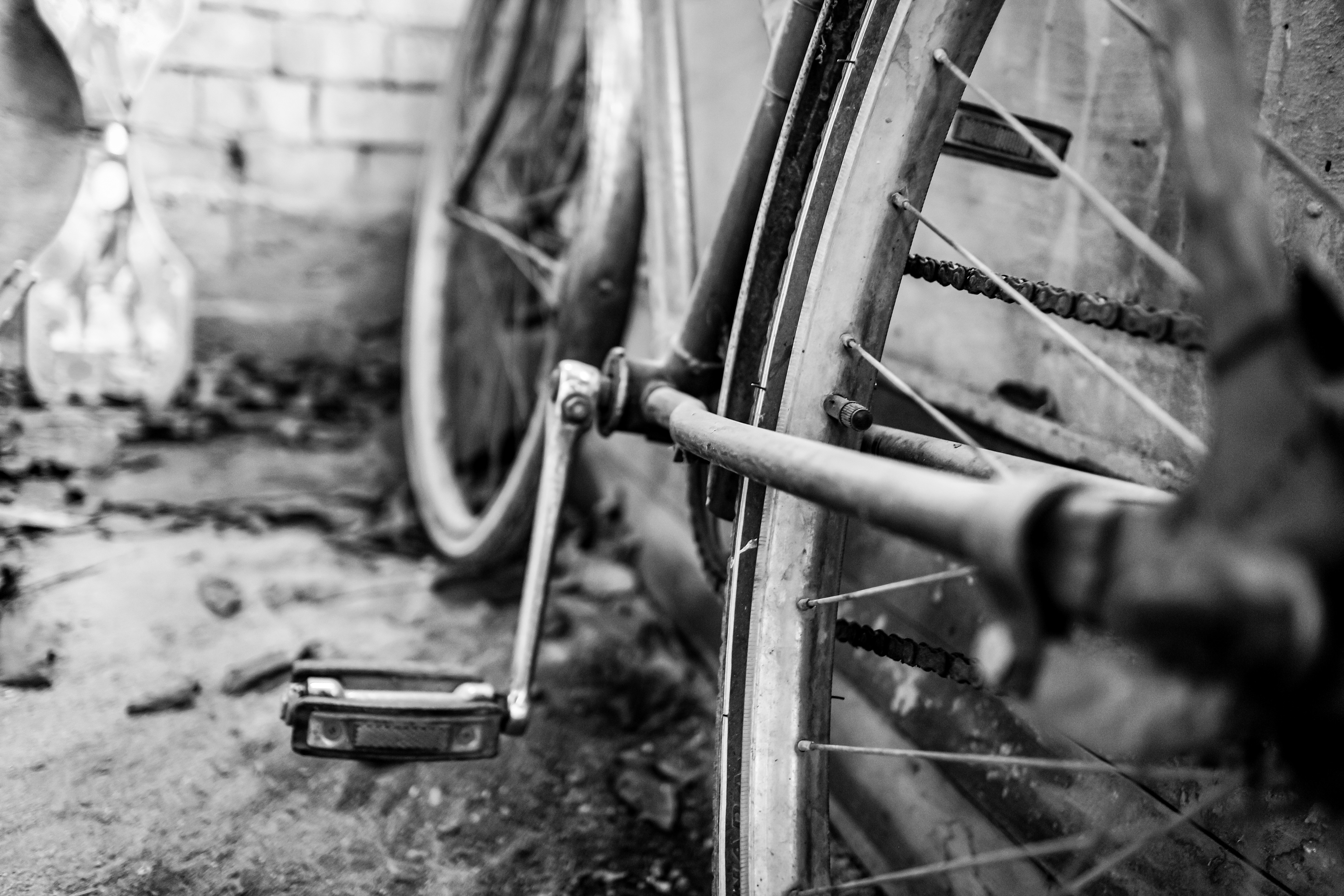 Photo by dsamatkulov