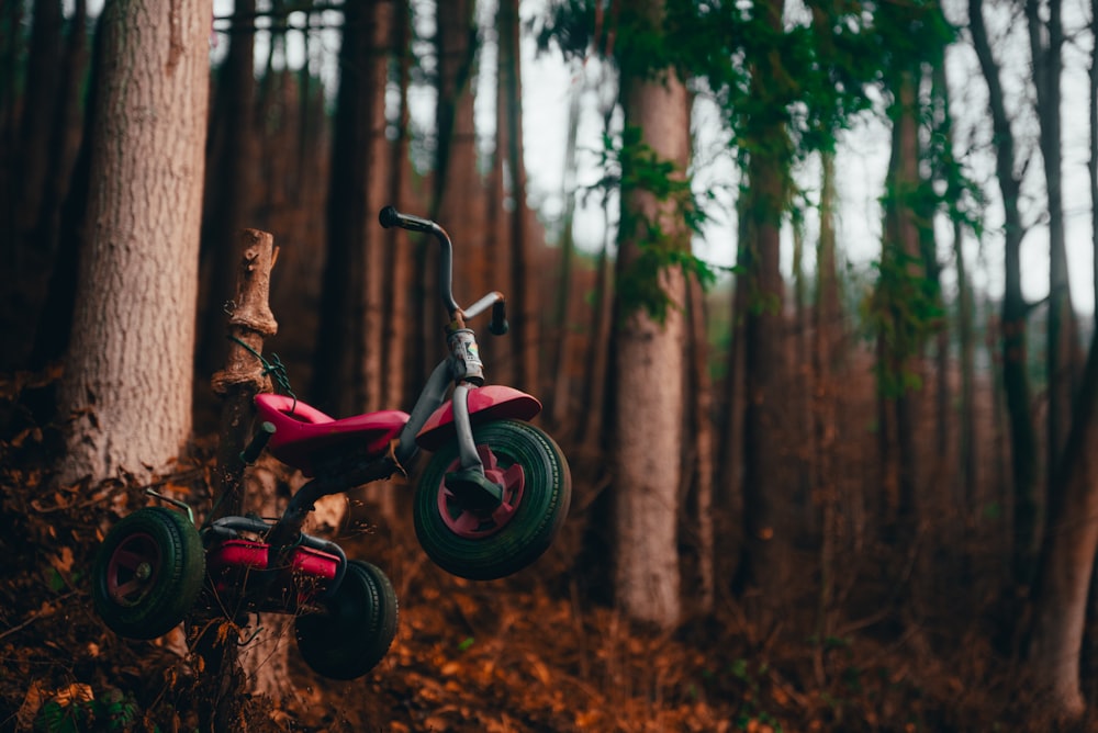 Bicicleta roja y negra en el bosque