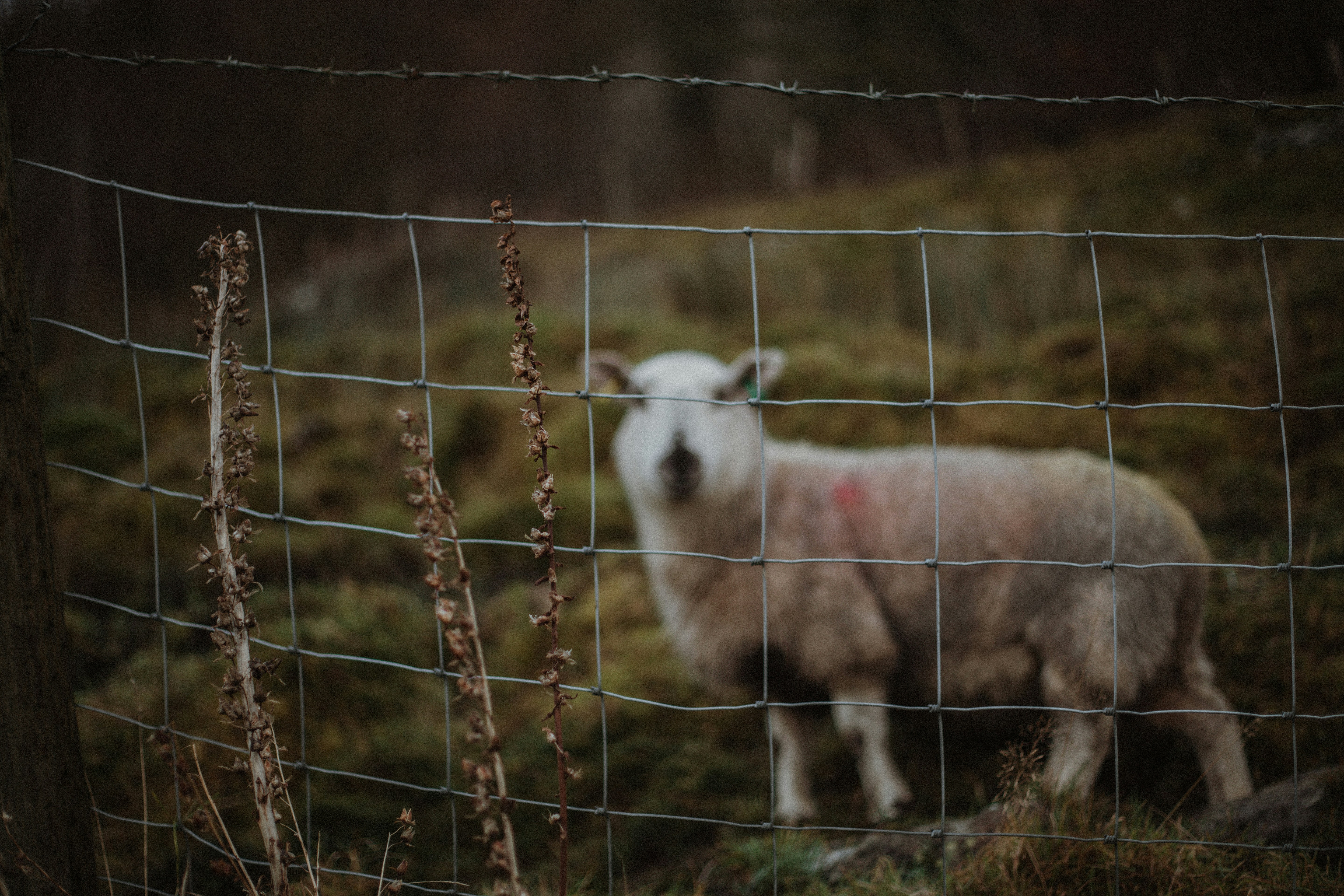 Photo by our_kindred