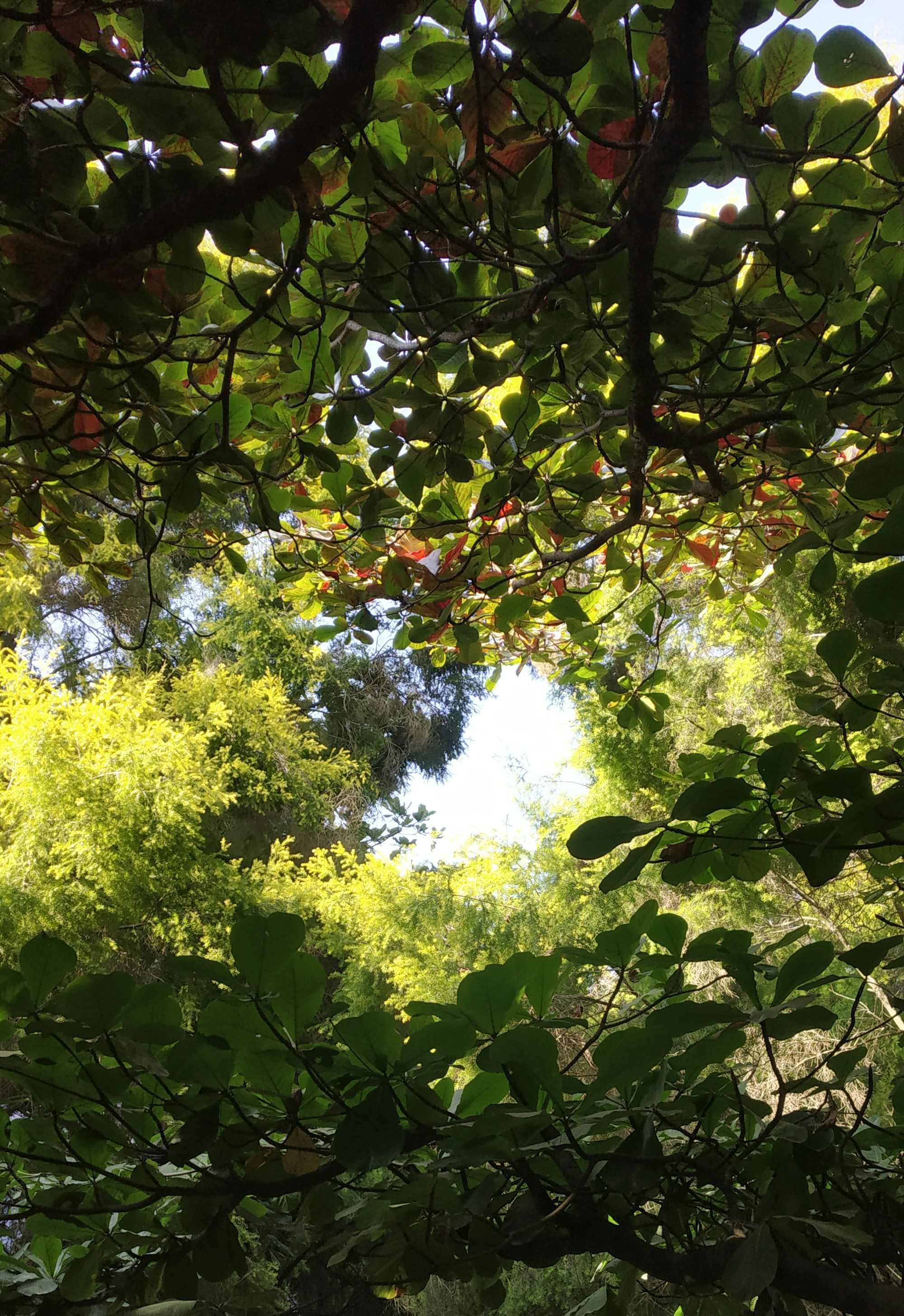 Photo by dinesh_karthic