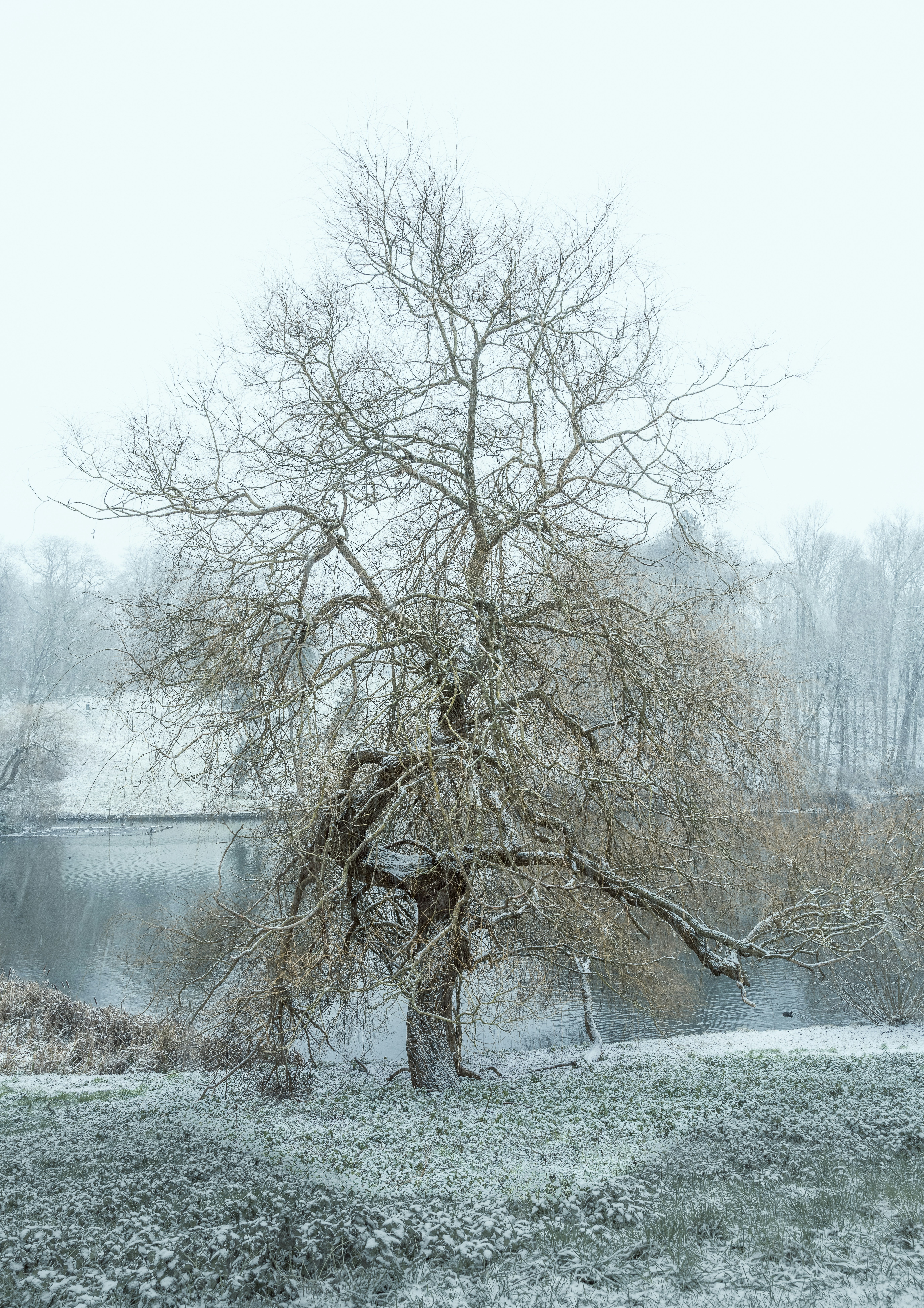 Photo by pontebernardo