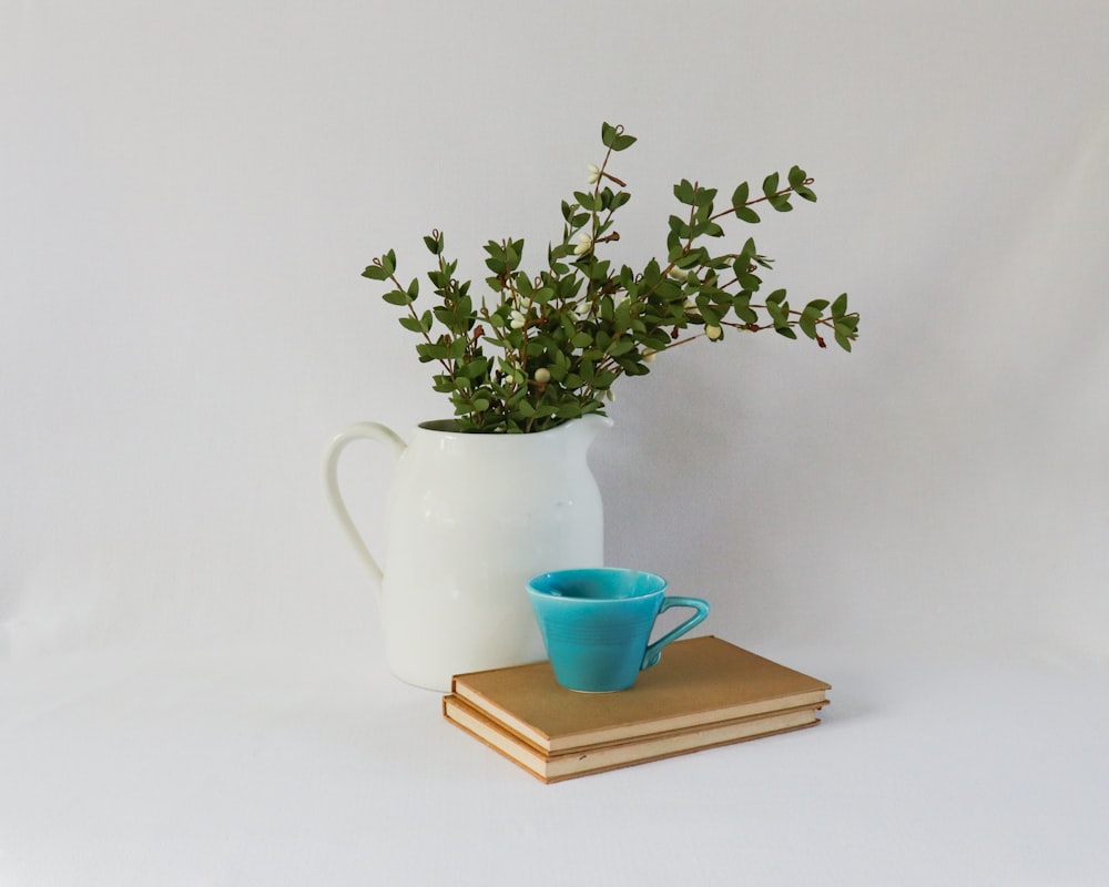 Planta verde en taza de cerámica azul en posavasos de madera marrón