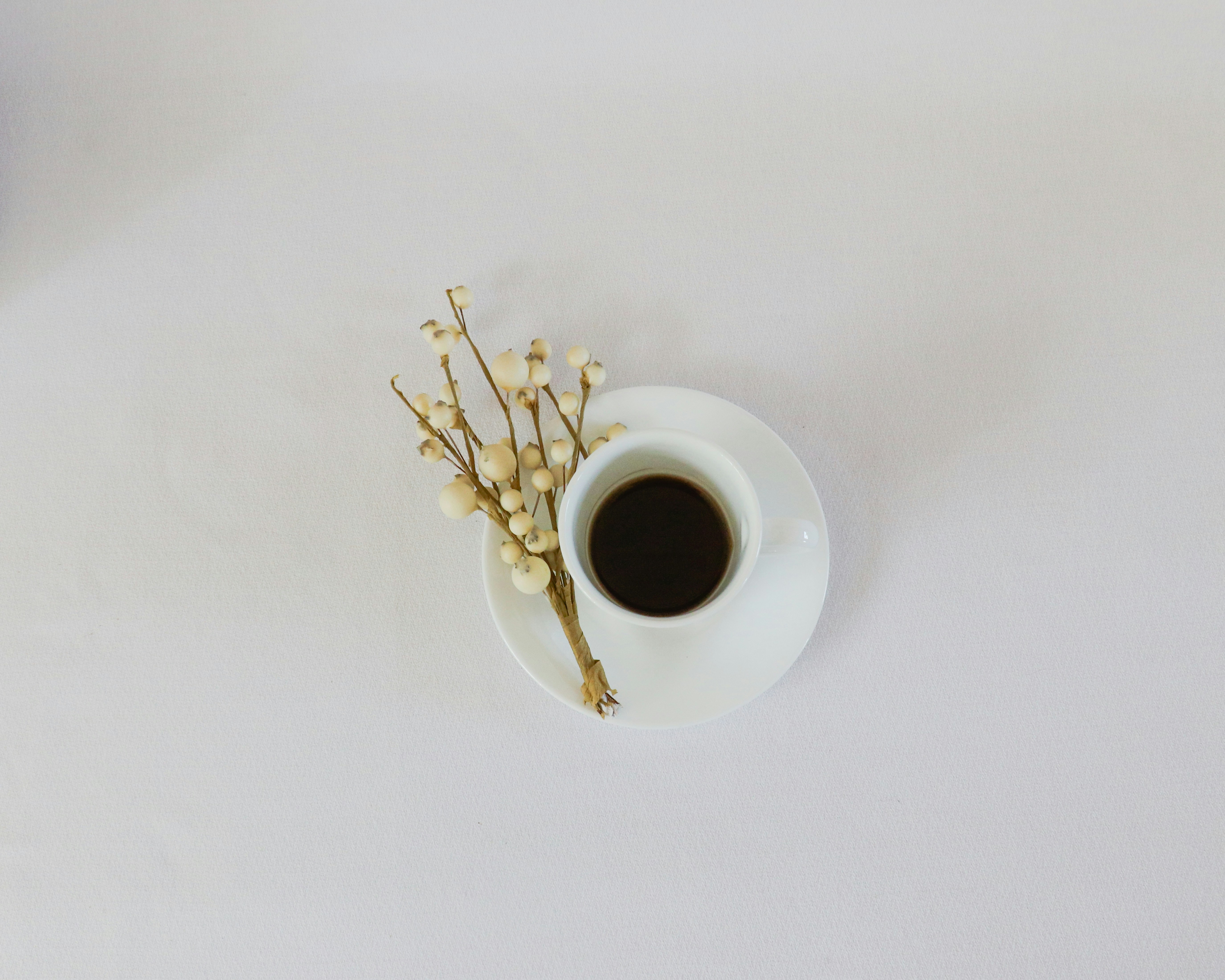 Small espresso on white with a sprig