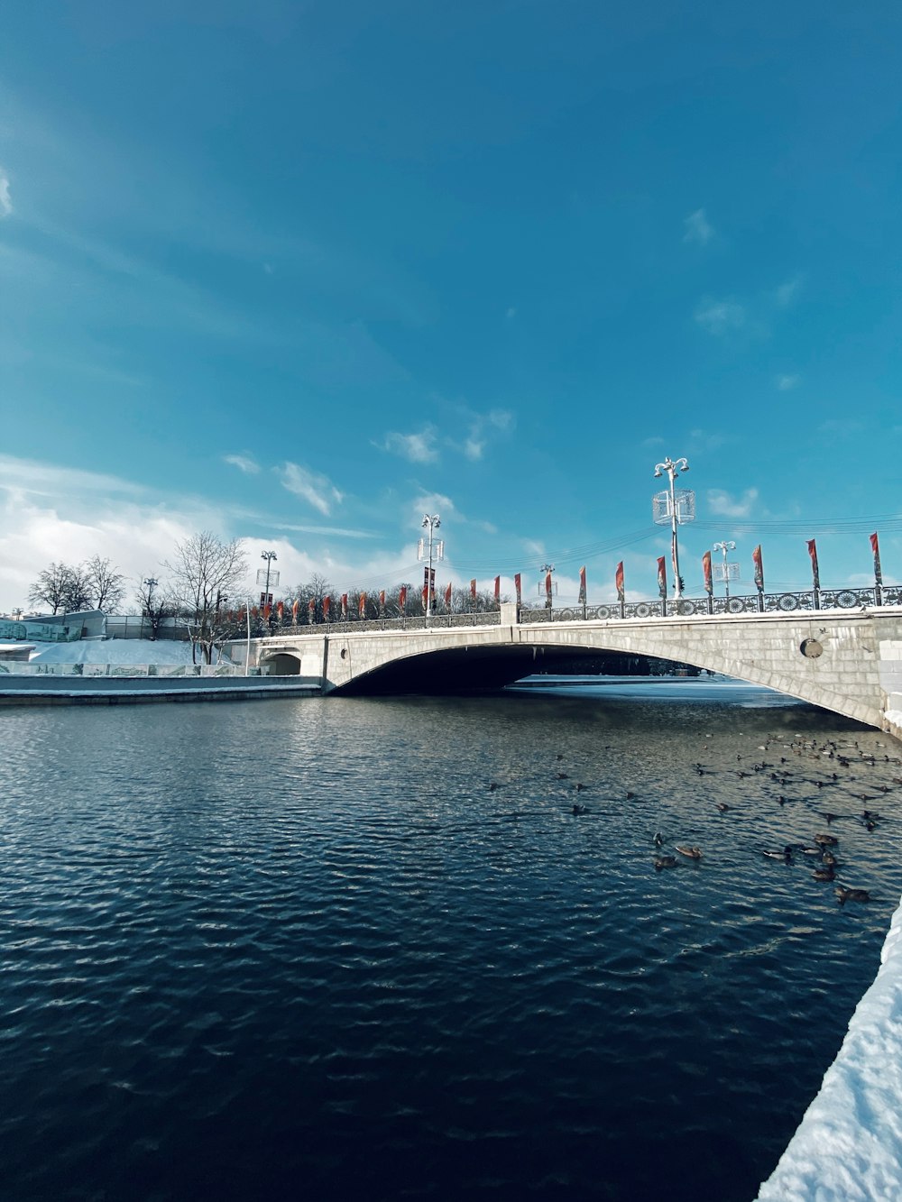 white bridge over the river