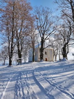 A small church with a white facade stands surrounded by tall leafless trees under a clear blue sky. Snow covers the ground, showing tracks and footprints leading towards the church.