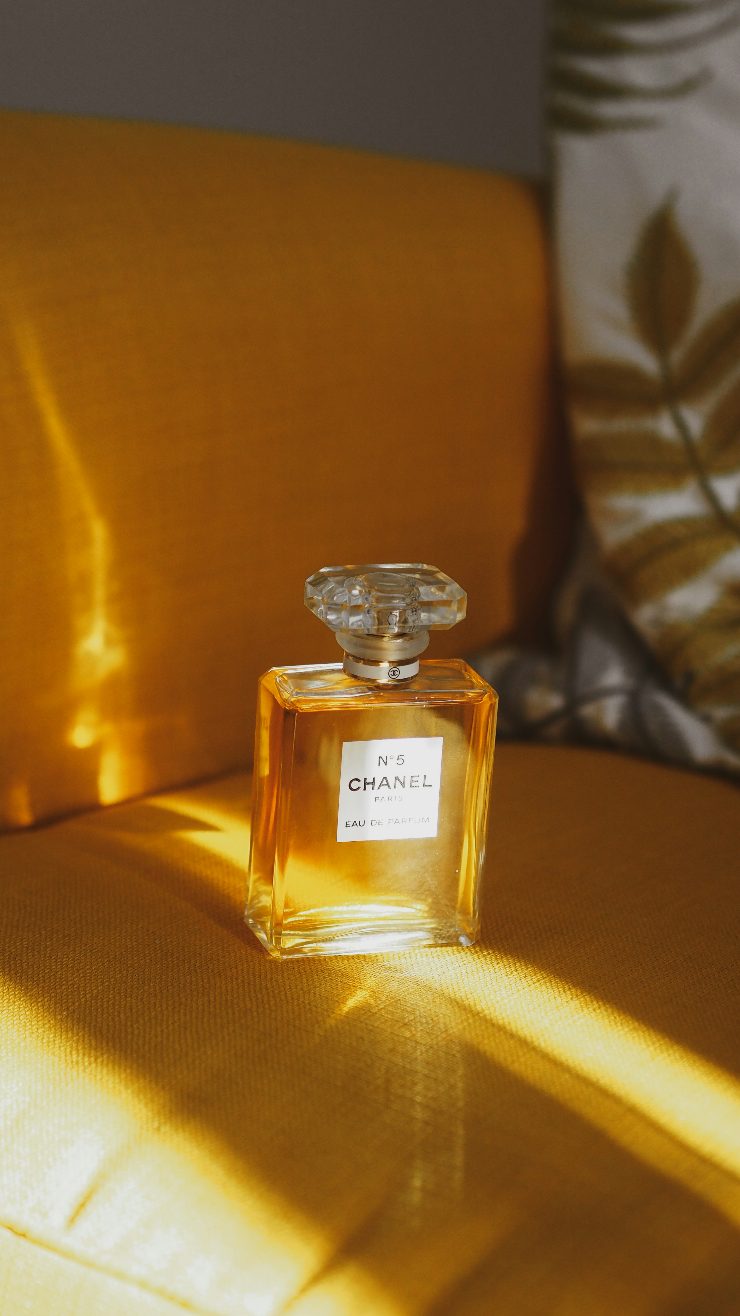 Photo by laurachouette