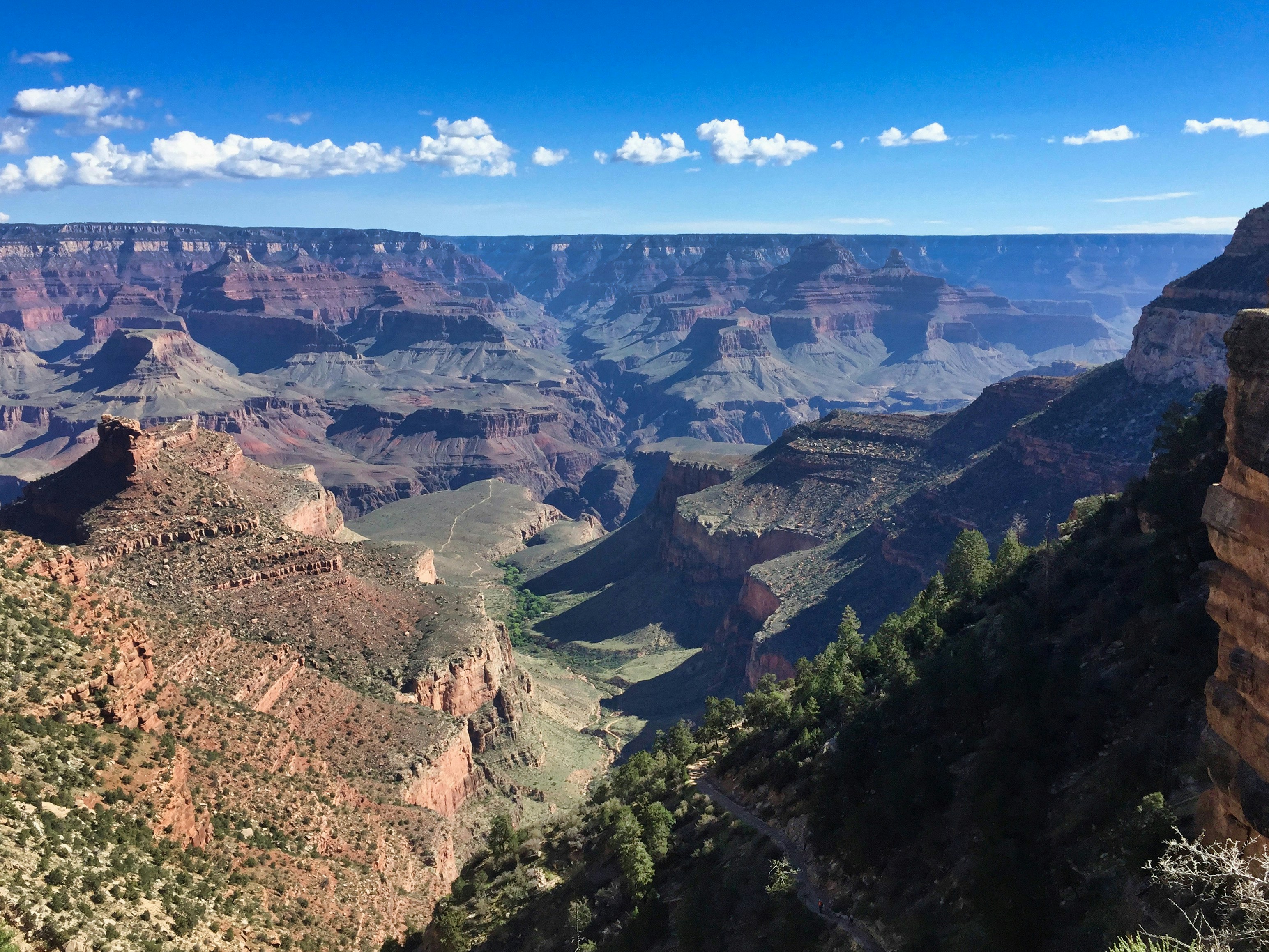 Photo by datingjungle