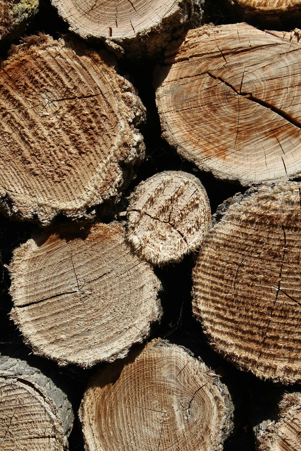 brown wood logs in close up photography