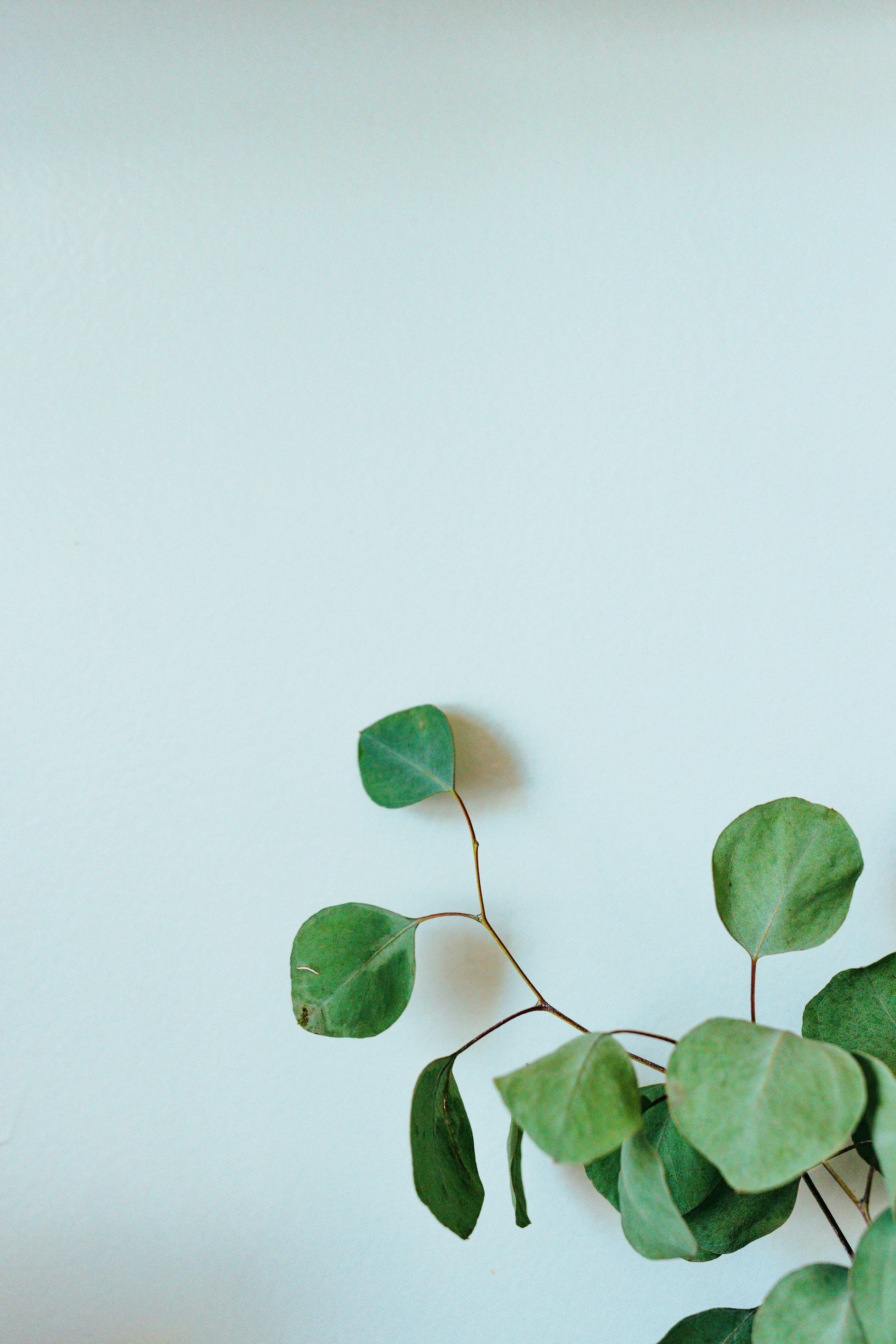 Photo by nate_dumlao