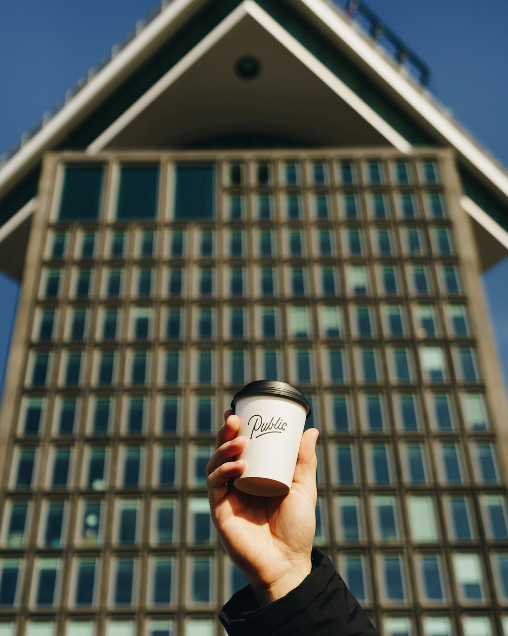 person holding white and black disposable cup