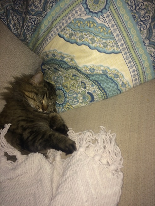 A fluffy cat is peacefully sleeping on a beige couch, partially covered with a knitted white blanket. A colorful decorative pillow with intricate blue, green, and yellow patterns is placed behind the cat.