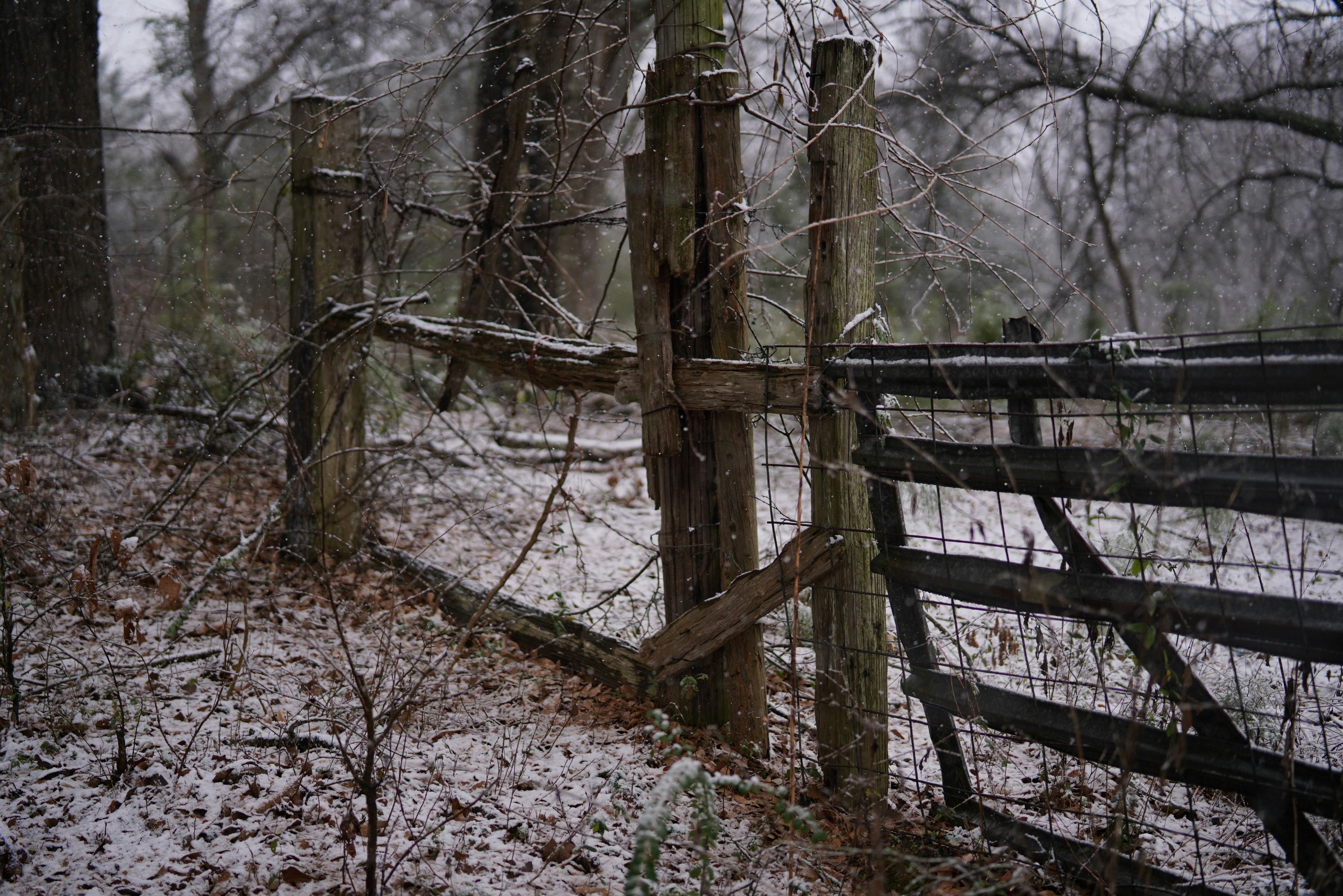 Photo by pistonlegs