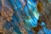 A close-up view of a polished gemstone surface displaying vibrant iridescent blue and green colors. The stone has intricate patterns with streaks and patches of brown and gold, which create a mesmerizing and complex visual texture.
