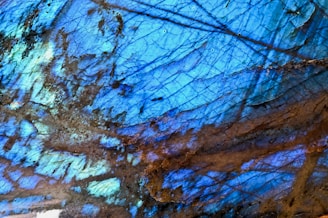 brown and white abstract painting