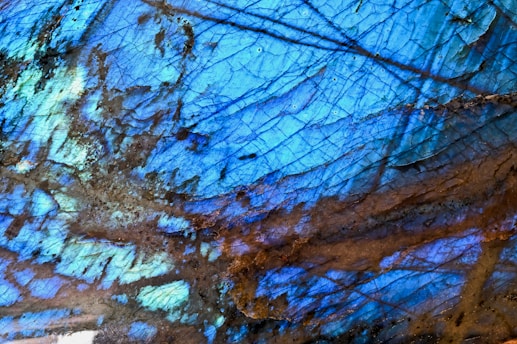 brown and white abstract painting