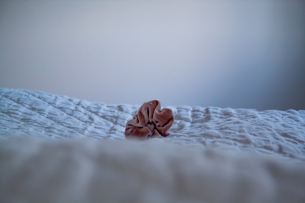 brown textile on white and blue bed linen