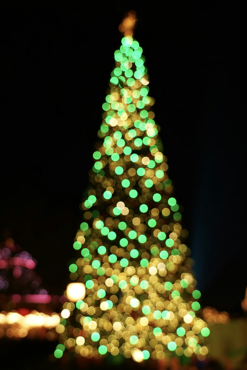 beleuchteter Weihnachtsbaum mit Lichterketten