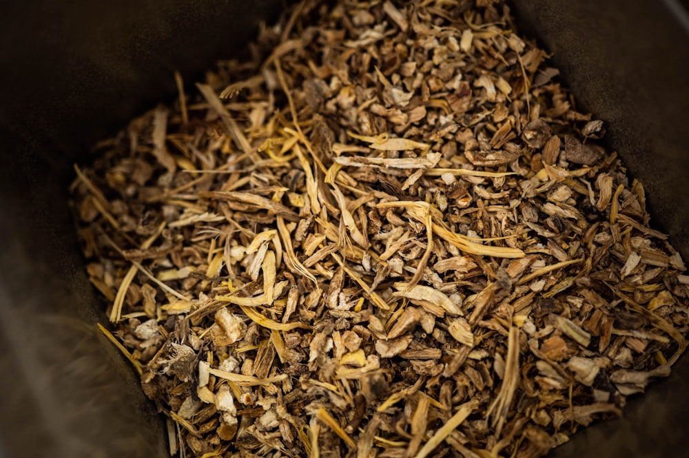 brown dried leaves on black plastic container