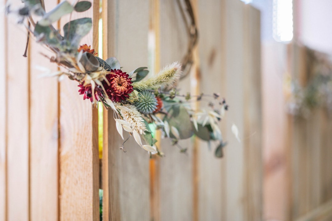 white and green plant on brown wooden fence