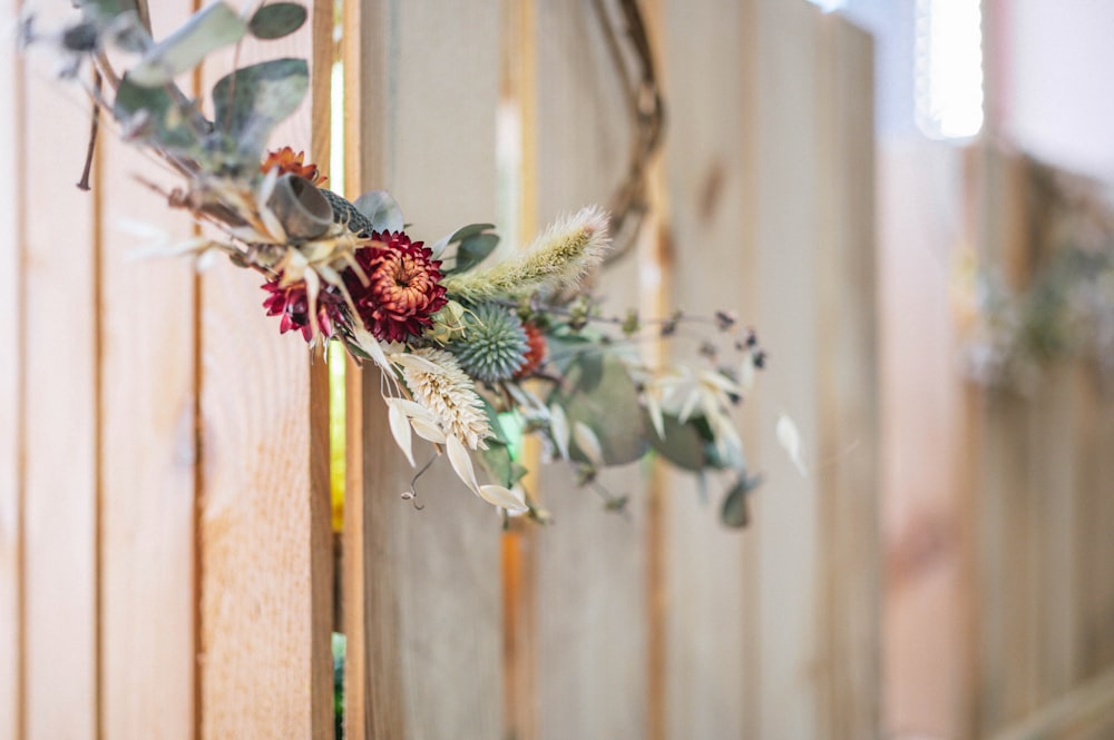 white and green plant on brown wooden fence